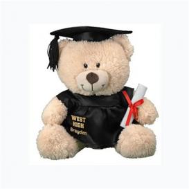 Custom made soft toy teddy bear